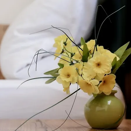Metzgerei Drei Linden Hotel 3*