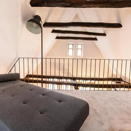 Alte Schmiede Apartment *