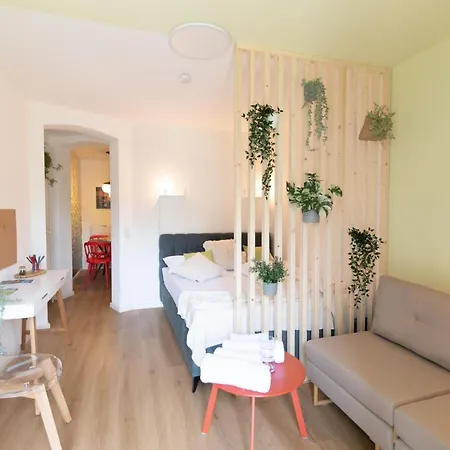 Peter Apartments- Mit Eigenem Eingang I 30qm I Zentrale Lage I Bad I Kueche I Terrasse I Tv * Fulda