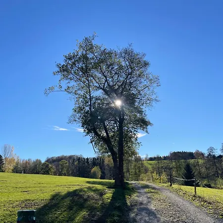 Sonnenschein In