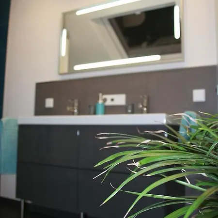 Apartment Premium Ferienloft Dressler *