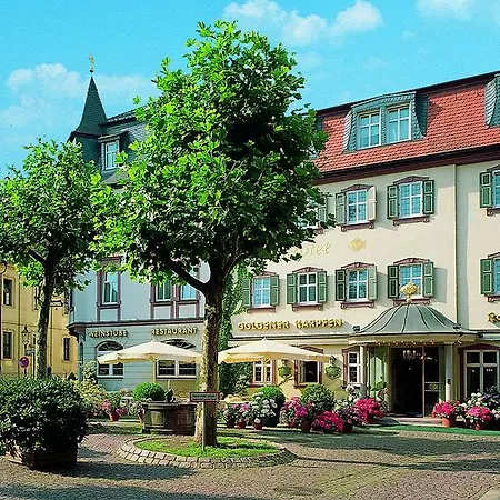 Romantichotel Goldener Karpfen Hotel 4*