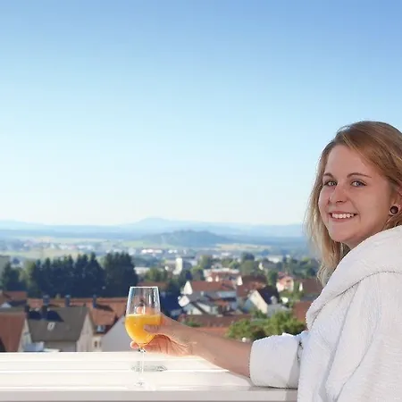 Hotel Altes Casino 3*