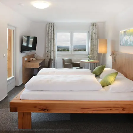 Hotel Altes Casino 3*